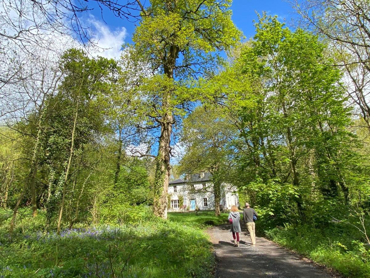 Blackhill Woods Retreat Abbeyleix Zewnętrze zdjęcie