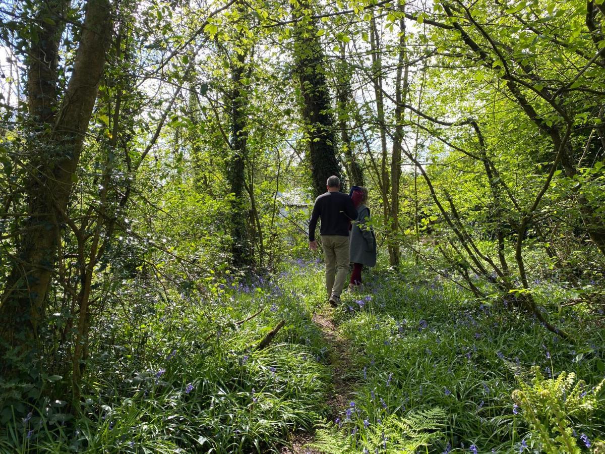 Blackhill Woods Retreat Abbeyleix Zewnętrze zdjęcie