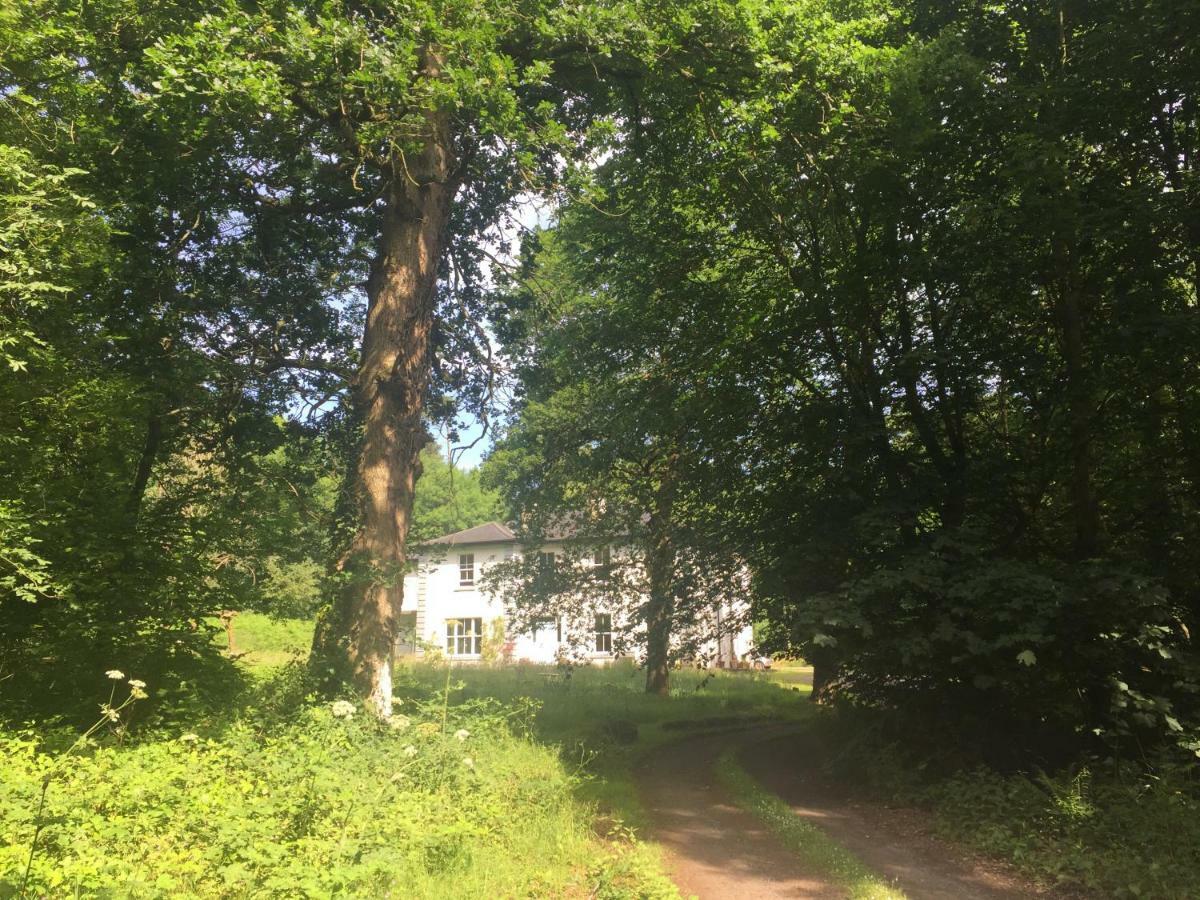 Blackhill Woods Retreat Abbeyleix Zewnętrze zdjęcie